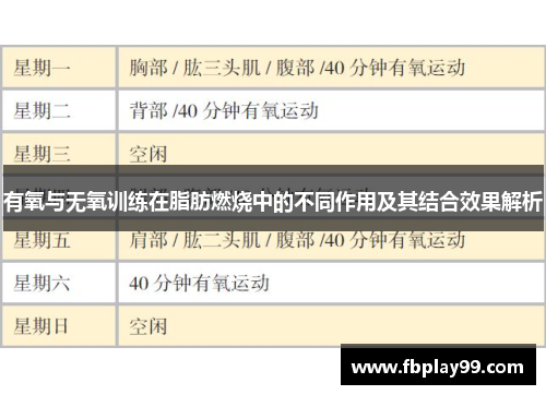 有氧与无氧训练在脂肪燃烧中的不同作用及其结合效果解析